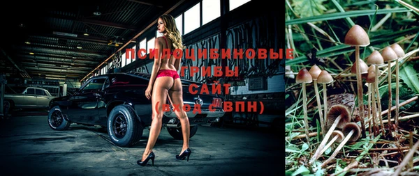 бутират Пересвет