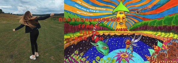 бутират Пересвет