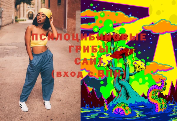 бутират Пересвет